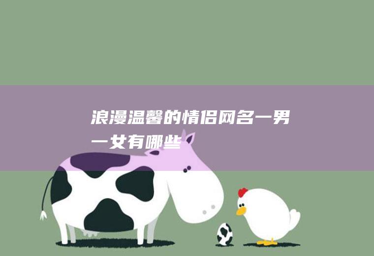 浪漫温馨的情侣网名一男一女有哪些