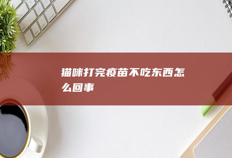 猫咪打完疫苗不吃东西怎么回事