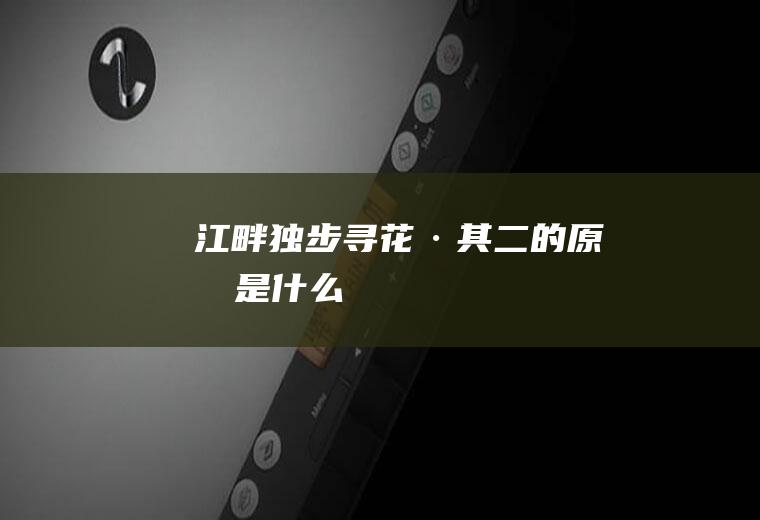 《江畔独步寻花·其二》的原文是什么