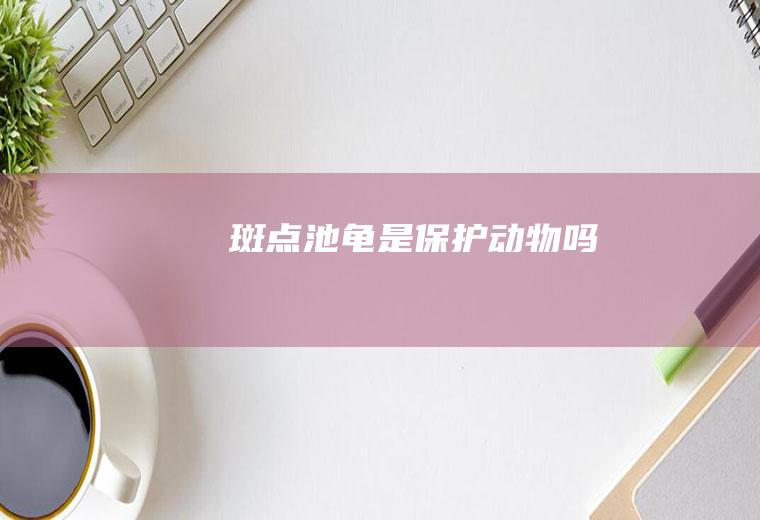 斑点池龟是保护动物吗
