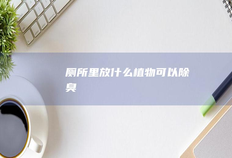 厕所里放什么植物可以除臭