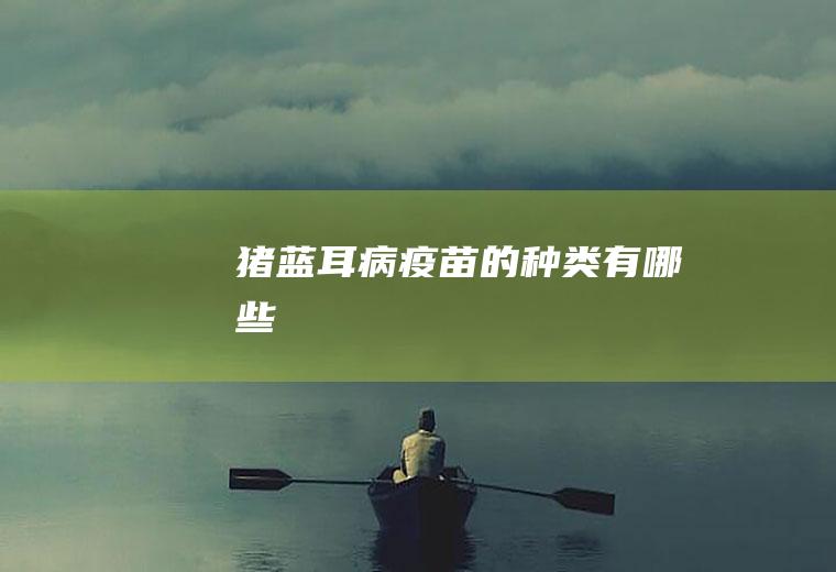 猪蓝耳病疫苗的种类有哪些