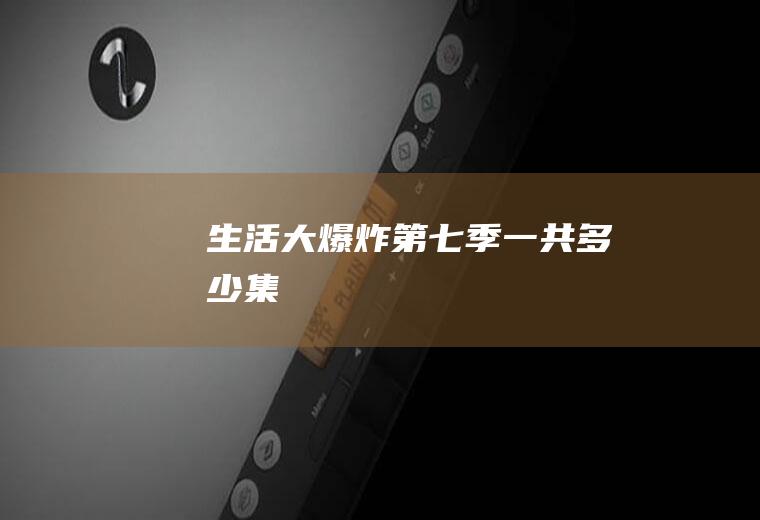 《生活大爆炸》第七季一共多少集