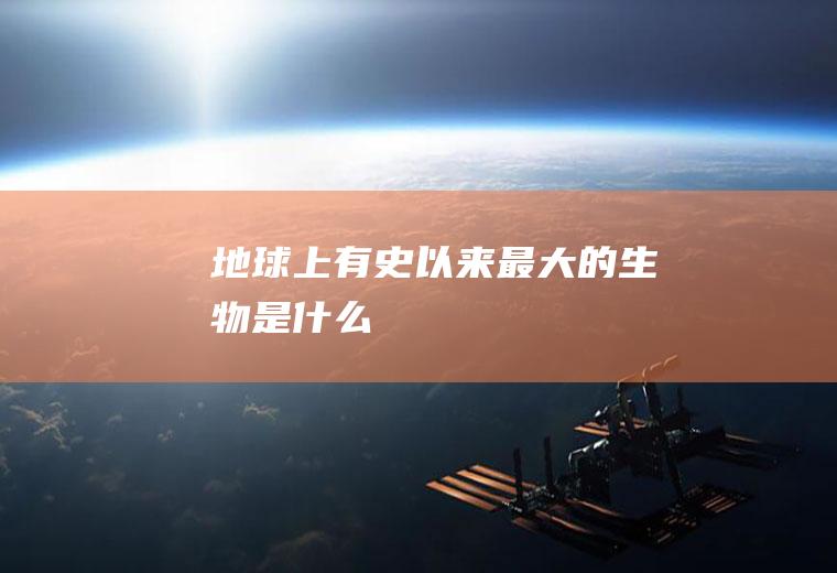地球上有史以来最大的生物是什么