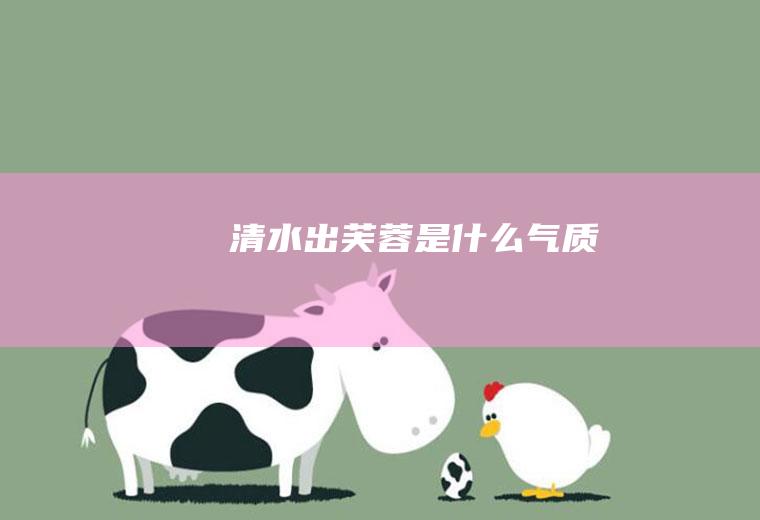 清水出芙蓉是什么气质
