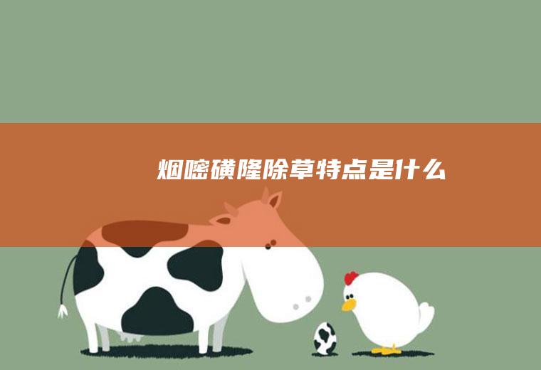 烟嘧磺隆除草特点是什么