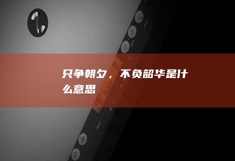 只争朝夕，不负韶华是什么意思