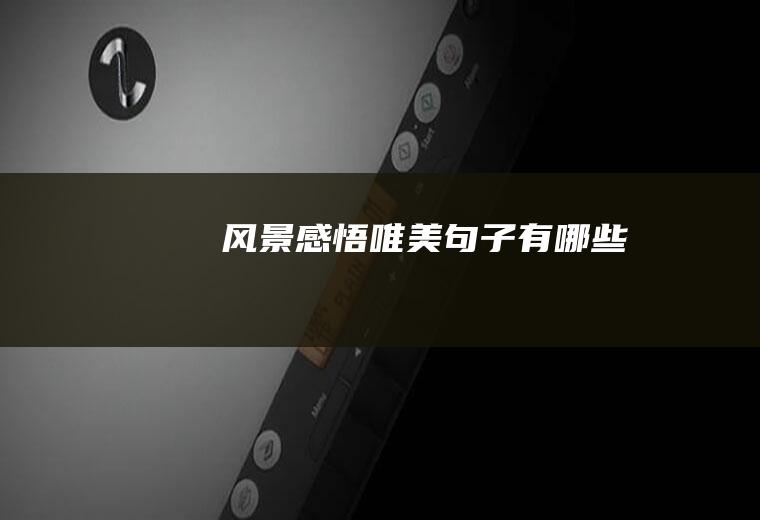 风景感悟唯美句子有哪些