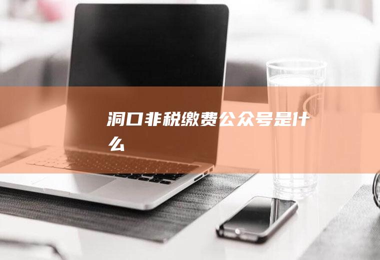 洞口非税缴费公众号是什么