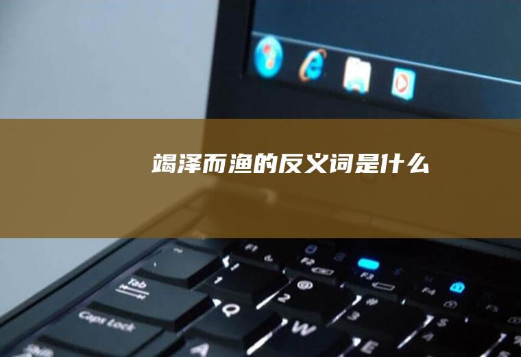竭泽而渔的反义词是什么