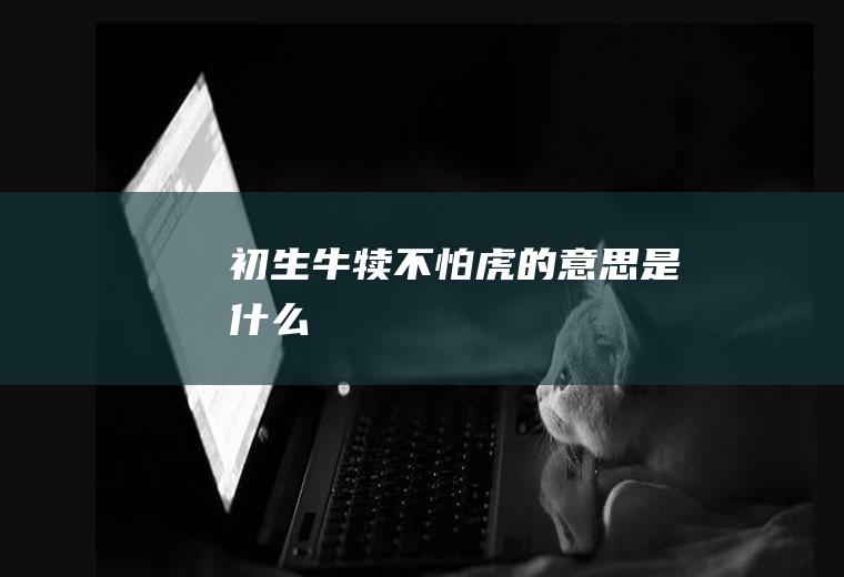 初生牛犊不怕虎的意思是什么