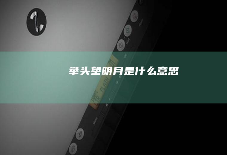 举头望明月是什么意思