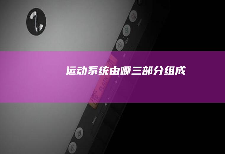 运动系统由哪三部分组成