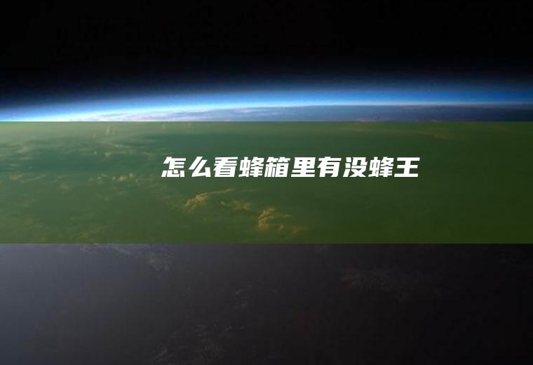 怎么看蜂箱里有没蜂王