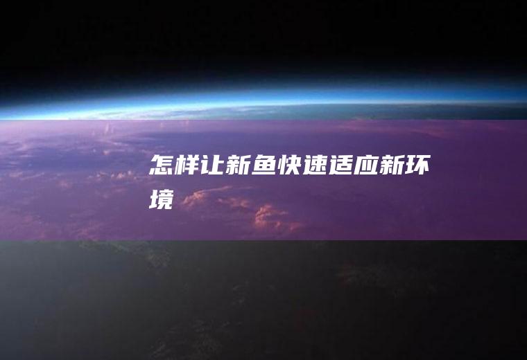 怎样让新鱼快速适应新环境
