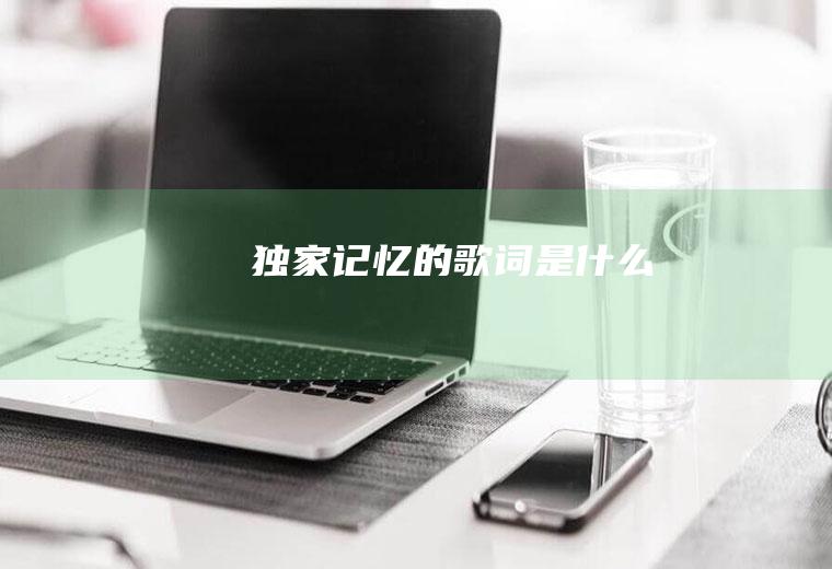 《独家记忆》的歌词是什么