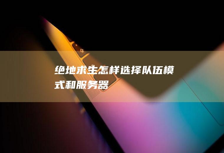 绝地求生怎样选择队伍模式和服务器