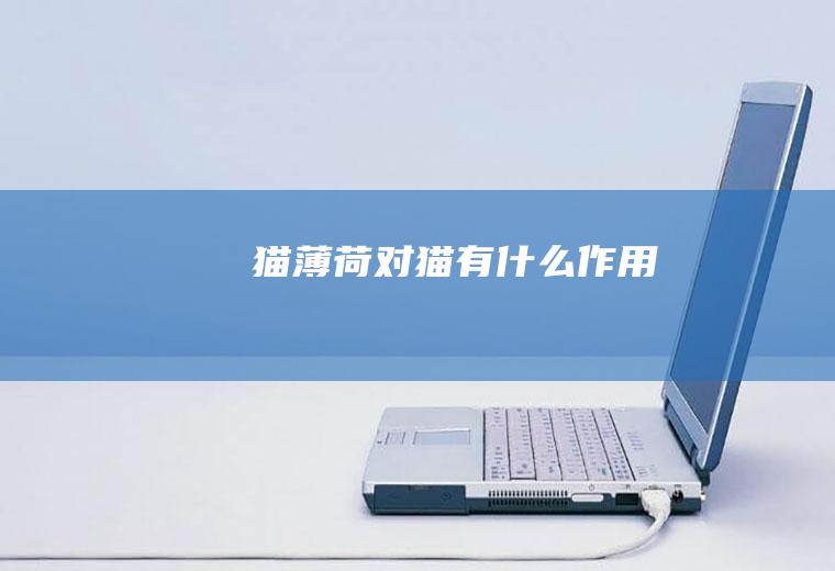 猫对猫有作用