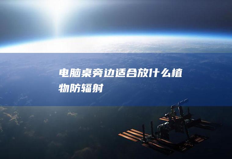 电脑桌旁边适合放什么植物防辐射