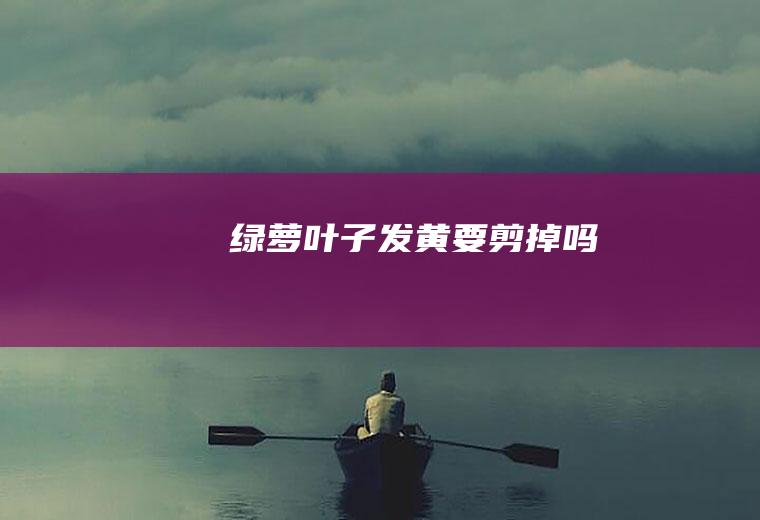 绿萝叶子发黄要剪掉吗