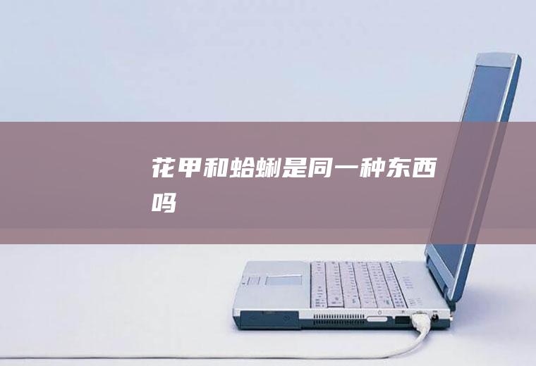 花甲和蛤蜊是同一种东西吗