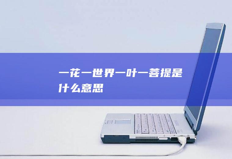 一花一世界一叶一菩提是什么意思