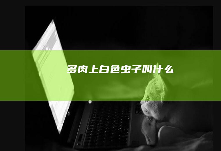 多肉上白色虫子叫什么