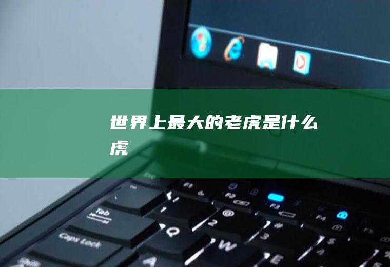 世界上最大的老虎是什么虎
