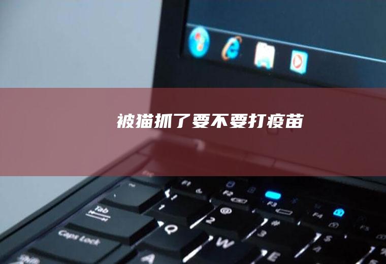 被猫抓了要不要打疫苗