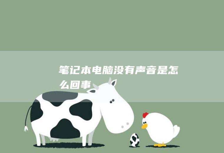 笔记本电脑没有声音是怎么回事