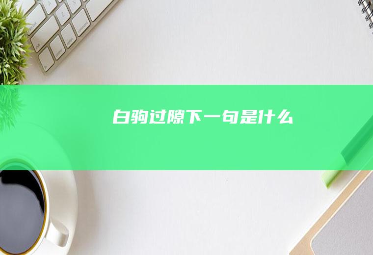 白驹过隙下一句是什么