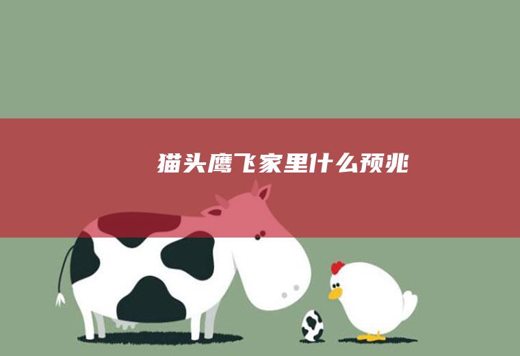 猫头鹰飞家里什么预兆