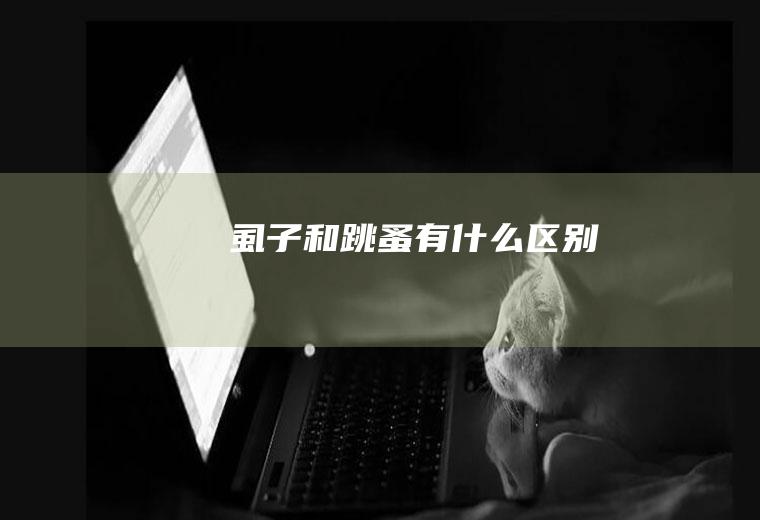 虱子和跳蚤有什么