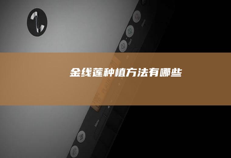 金线莲种植方法有哪些