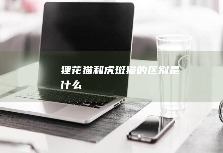 狸花猫和虎斑猫的区别是什么