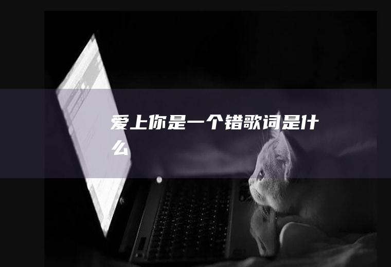 《爱上你是一个错》歌词是什么