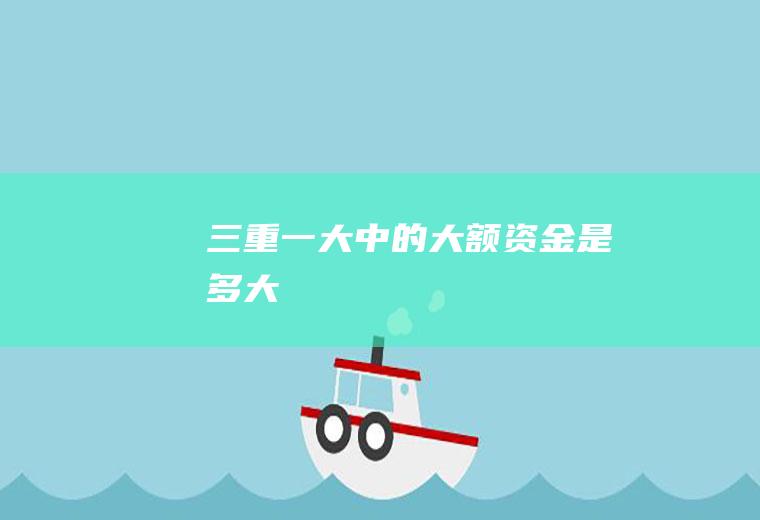 三重一大中的大额资金是多大
