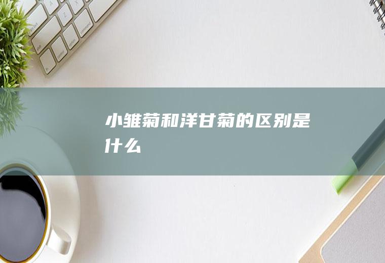 小雏菊和洋甘菊的区别是什么