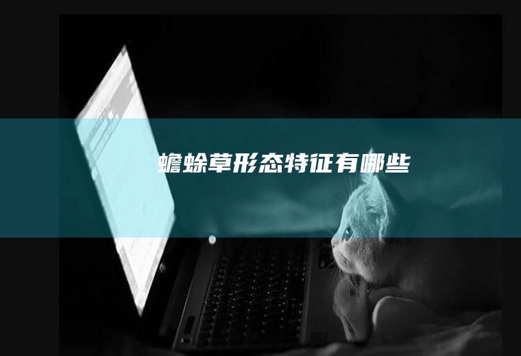 蟾蜍草形态特征有哪些