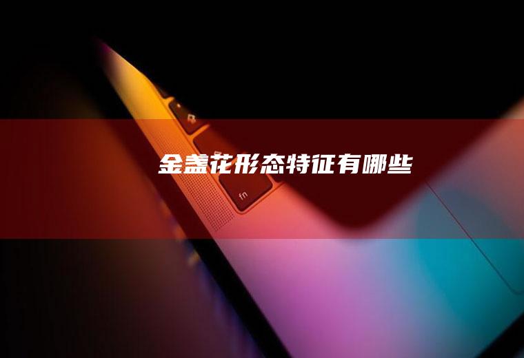 金盏花形态特征有哪些