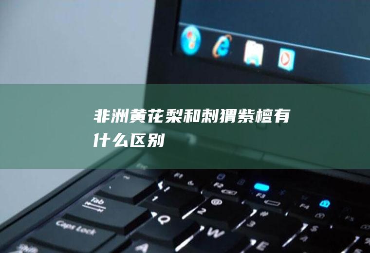 非洲黄花梨和刺猬紫檀有什么区别