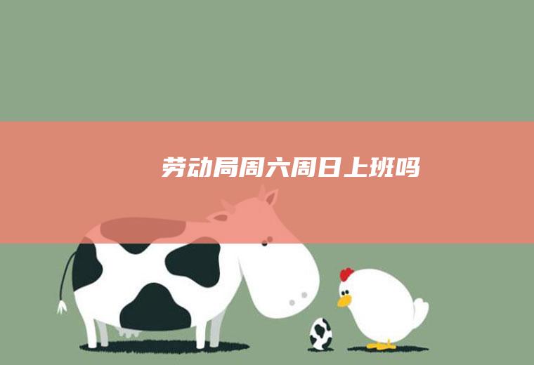 劳动局周六周日上班吗