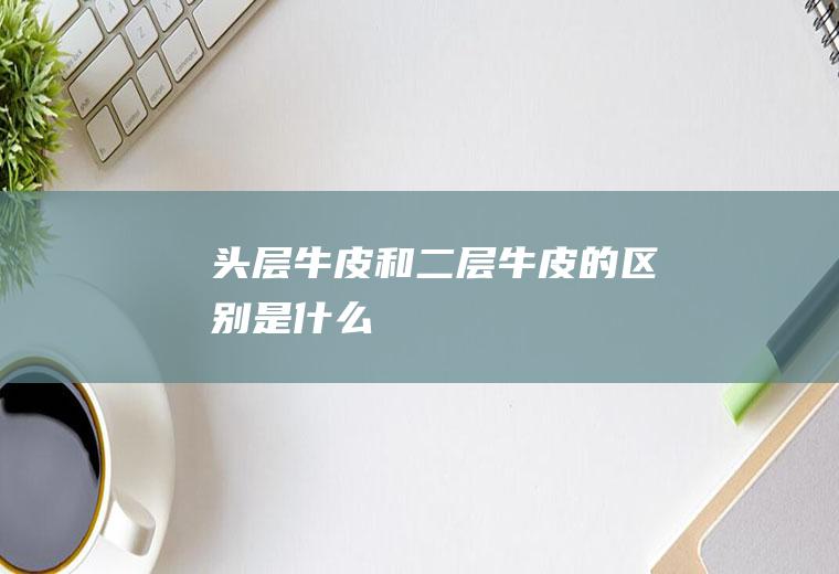 头层牛皮和二层牛皮的区别是什么