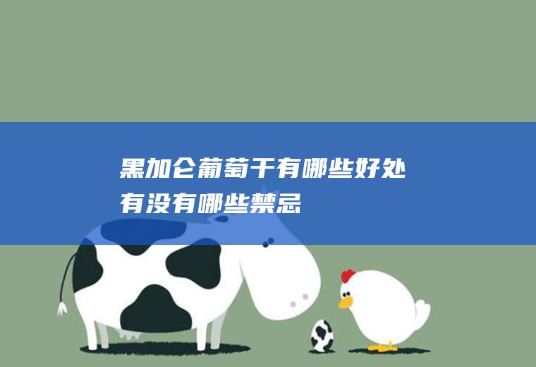 黑加仑葡萄干有哪些好处,有没有哪些禁忌
