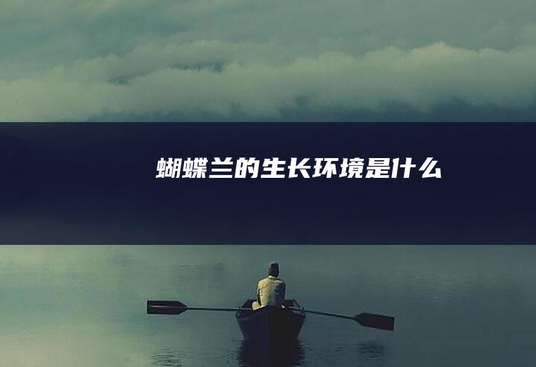 蝴蝶兰的生长环境是什么