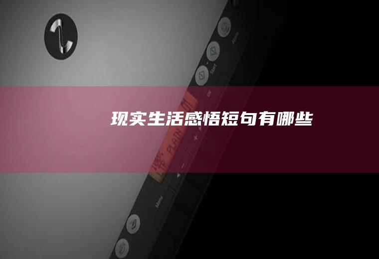 现实生活感悟短句有哪些