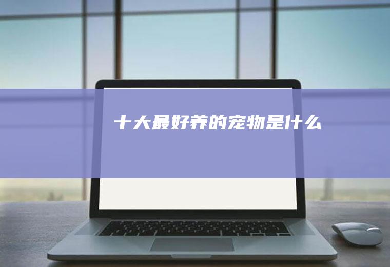 十大最好养的宠物是什么