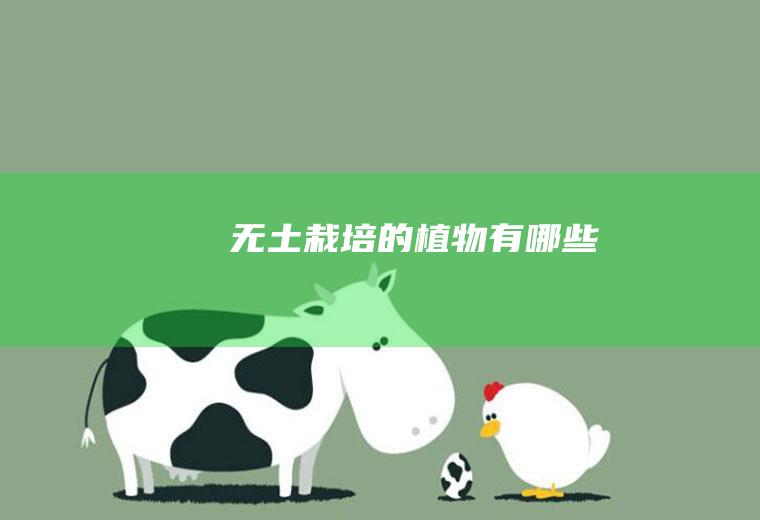 无土栽培的植物有哪些