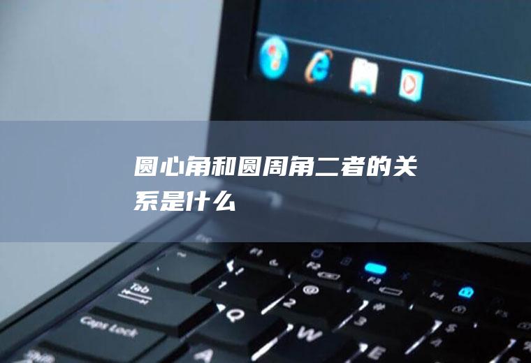圆心角和圆周角二者的关系是什么
