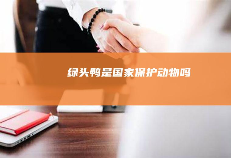绿头鸭是国家保护动物吗
